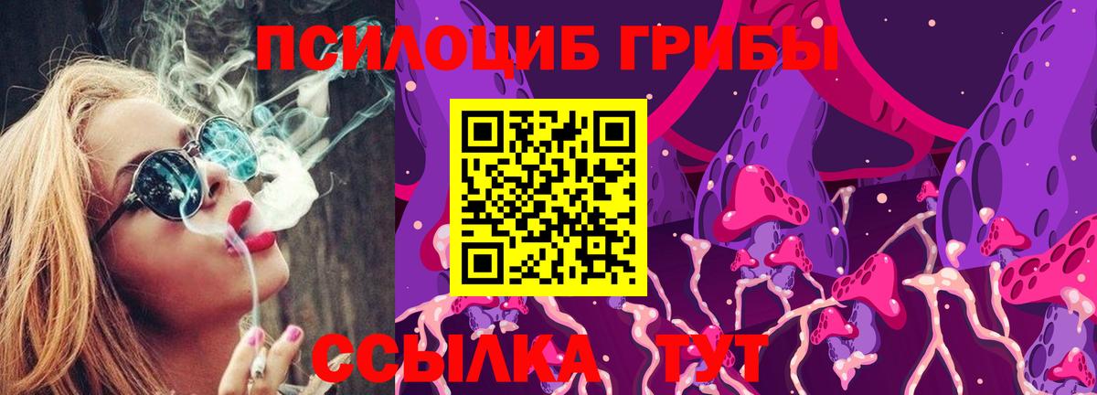 Пугачёв  Галлюциногенные грибы мицелий  Вход с VPN  Псилоцибиновые грибы GOLDEN TEACHER 